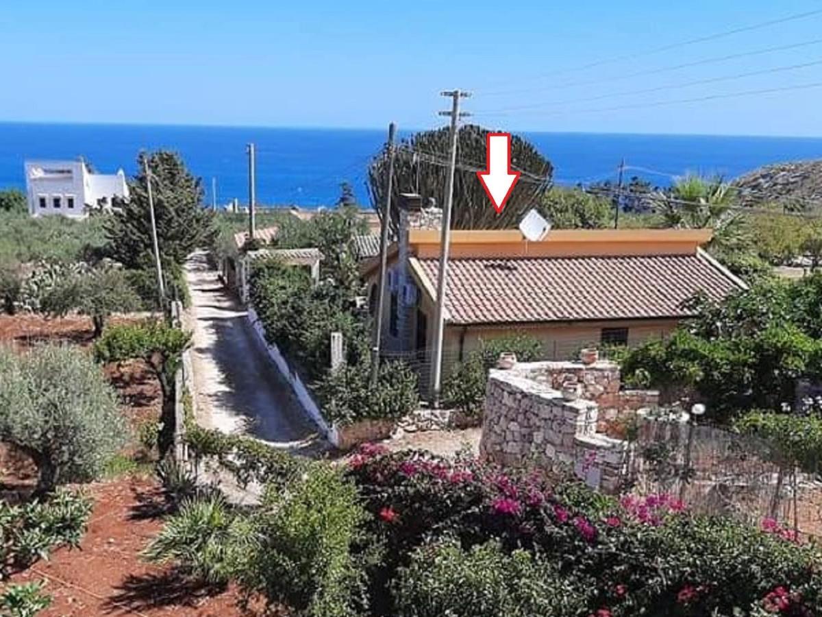 Вилла Villino Dei Gabbiani Кастелламмаре-дель-Голфо Экстерьер фото